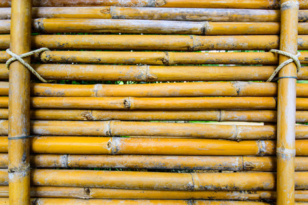 Row of bamboo wall  background texture.の写真素材