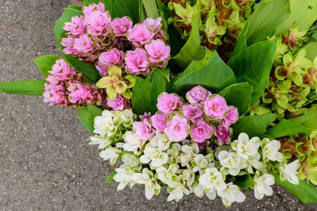 Many types of flowers for sale along the way.の写真素材
