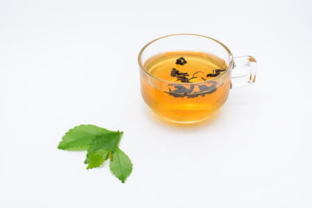 Clear glass of tea and tea leaves isolated on white background.の写真素材