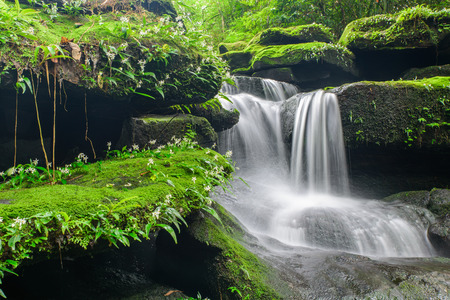 Landscape of waterfall in deep rain forest of Bolaven Plateau, Champasak with green mos and small white flowers.の写真素材
