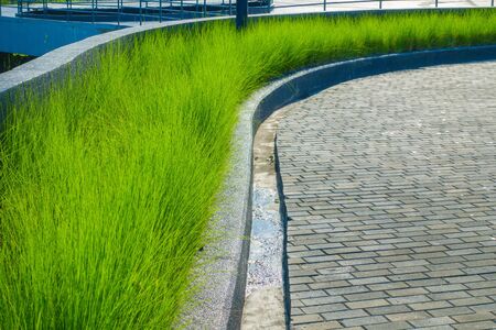 terraces with grass and foot path. Urban landscape design.の写真素材