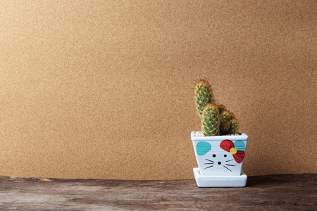 cactus in ceramic pot on wooden table with Vintage brown paper Background Texture.の写真素材
