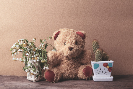 basket of dry flowers and a teddy bear with pots of cactus  on wooden table with old brown paper background, vintage and pastel.の写真素材