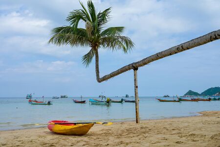 Colorful kayaks parking on tropical beach with coconut tree koh tao Island, Thailand.の写真素材