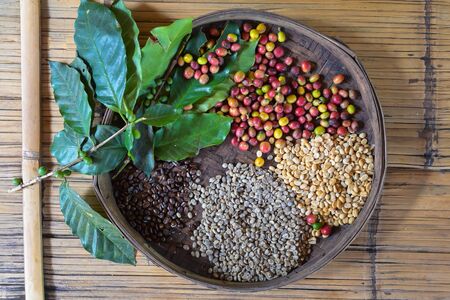 coffee beans in the basket with Ripe coffee leaves.の写真素材