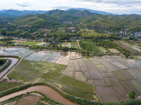 Aerial view of terraced rice field and mountains in harvest season at Chiang mai, Thailand.の写真素材