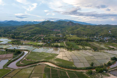 Aerial view of terraced rice field and mountains in harvest season at Chiang mai, Thailand.の写真素材