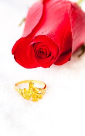 beautiful red rose with golden ringの写真素材