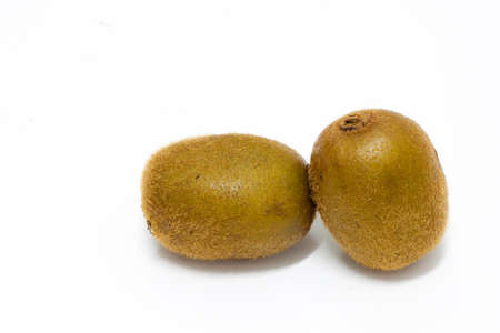 kiwi fruit isolated on white backgroundの写真素材
