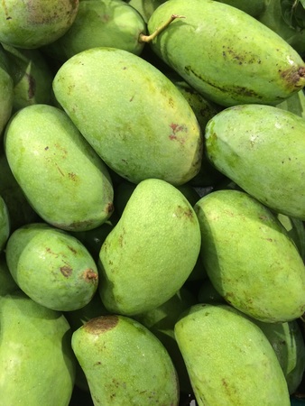 Green mango on supermarket , good for healthlyの写真素材