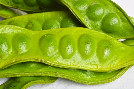 Parkia speciosaの写真素材