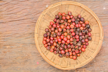 Takhop pak  thai name , Governor s plum  Flacourtia indica  Burm f   Merr   in basket place on woodenの写真素材