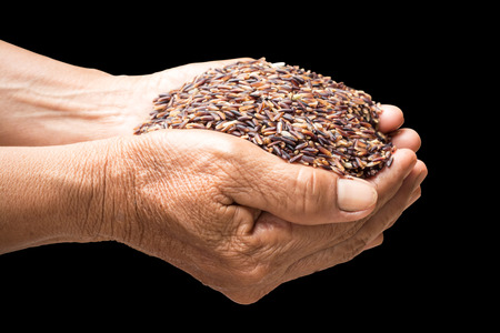 raw rice in hands holding isolated on black backgroundの写真素材