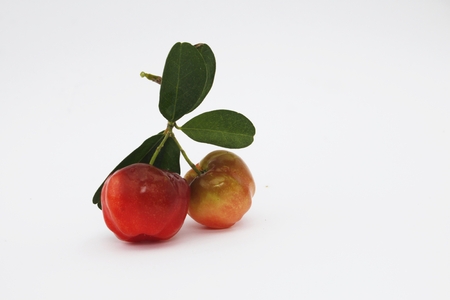 West Indian Cherry with leaf isolate on white background, Barbados cherryの写真素材