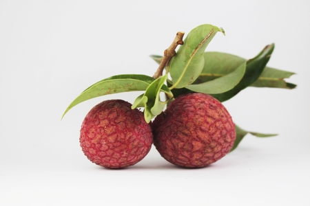 lychee berries and leaves on a white background.の写真素材