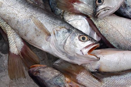 A background with a view of freshly caught fish in the Indian tropics.