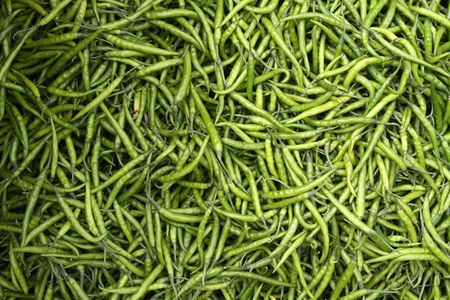 A background of fresh green chillies.の写真素材