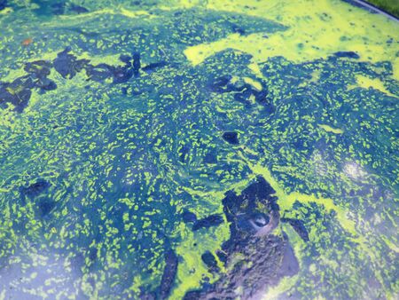 A view of an abstract flush of paints creating an effect looking like earth topography clicked from a satellite の写真素材