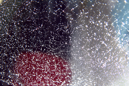 A metaphorical image of a sparkling spiderweb representing the internetの写真素材