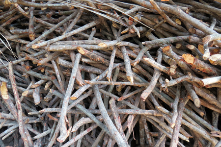 A background of a pile of stocked firewoodの写真素材