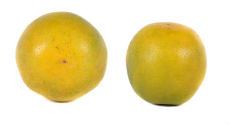 A fresh sweet lime fruit in different angles on white studio backgroundの写真素材