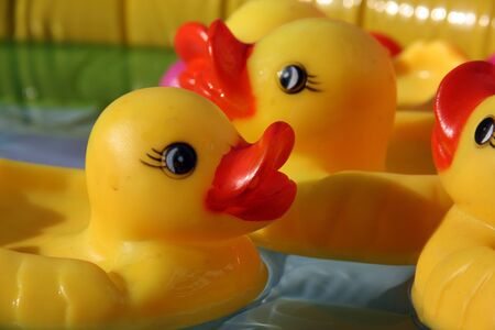 A closeup abstract view of yellow rubber ducks in a swimming pool.の写真素材