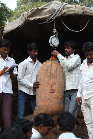 Pune, India - October 21, 2015: Farmers weighing the bags of Marigold flowers before selling them to festive sellers on the eve of Dassera festival in Indiia in which these flowers are traditionally used.のeditorial素材