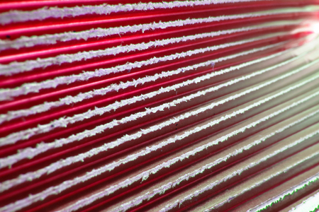 An abstract background of the detailed texture of a tropical palm leaf in red color.の写真素材