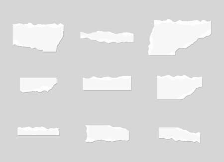 Torn paper set. Set of ripped paper. Vector illustration.のイラスト素材
