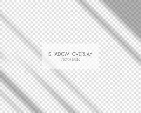 Shadow overlay effect. Natural shadows from window isolated on transparent background. Vector illustration.のイラスト素材