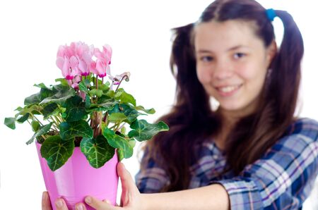 Girl holding a pot of Persian cyclamen flowers (cyclamen persicum) against a white backgroundの写真素材