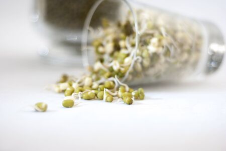 Fresh mung bean sprouts spilling out of a glass on a background with white to grey tones and subtle bokeh の写真素材