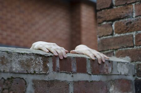 A pair of youths hands gripping on to the top of an urban red brick wall, with another wall of a building in the background.の写真素材