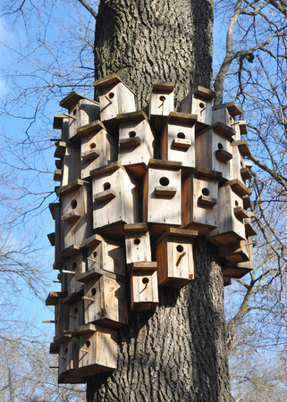 Bird Houses in Early Spring Weather