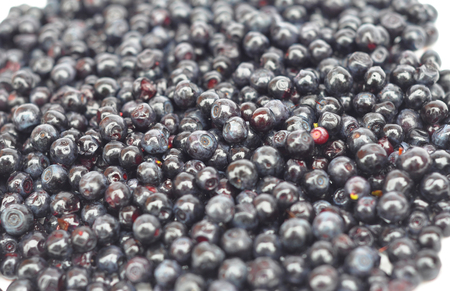 Vaccinium myrtillus is a species of shrub with edible fruit of blue color, commonly called bilberry, whortleberry, huckleberry or European blueberry. Blueberry  background.の写真素材