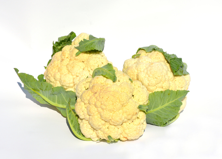 Cauliflower.  Raw cauliflower isolated on white backgroundの写真素材