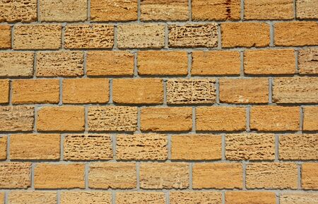 Coquina or Shelly Limestone Wall Textured Background.