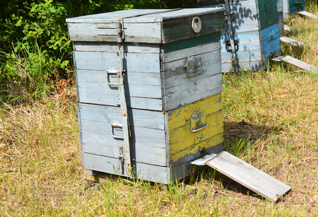 Wooden Beehive.  Apiculture beekeeping.