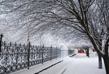 Snow Covered Pathway Winter. Snow Covered Pathway Along  Trees.の写真素材