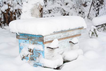 Honey Bees In The Winter. Wintering Bees in Beehive. In beekeeping, a winter cluster is a well-defined cluster of honey beesの写真素材