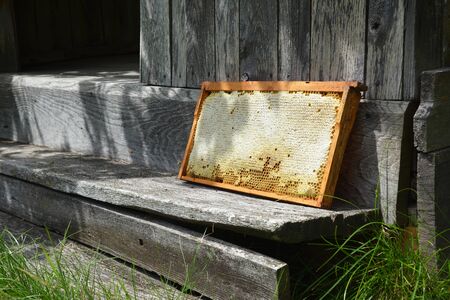 Raw honeycomb with honey bees benefits and recipe. Raw honey honeycomb