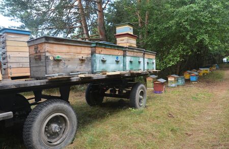 Relocating Honey Bees on Colorful Caravan in Forest. Mobile caravan for relocating honey bees...
