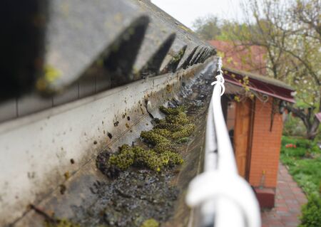 Close up on Dirt in House Roof Gutter. Asbestos Roof Gutter Cleaning.の写真素材