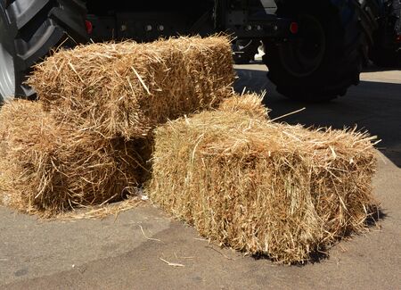 A close-up on small square haystack straw, rectangular shaped, string or wire tied bales of hay near...