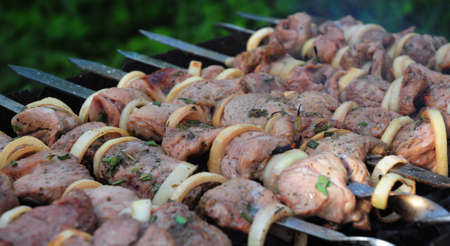 Preparing a delicious grilled shashlik, shashlyk, shish kebab on a mangal adding onion and spices to fresh meat.の写真素材