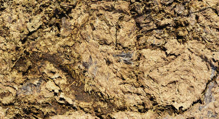 Cattle manure texture background. Close up on organic fertilizer cow manure.