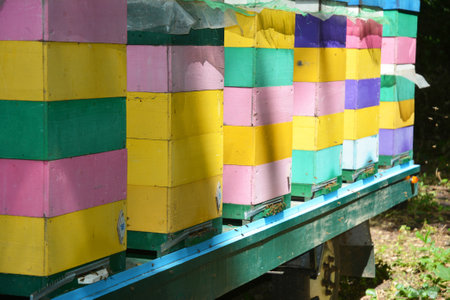 Colorful wooden beehives as a concept of organic honey production. Colorful beekeeping and Apiary Conceptの写真素材