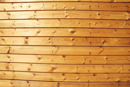 Spruce, pine, fir wood siding good for exterior walls and sauna interiors. A pine fir wood siding, knotty pine clapboard paneling and siding background with a copy space.の写真素材