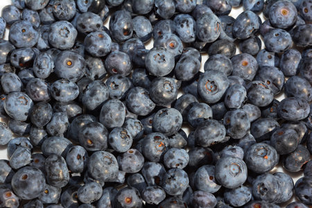 Blueberries textured background. Ripe organic juicy blueberries as a concept of healthy food.の写真素材