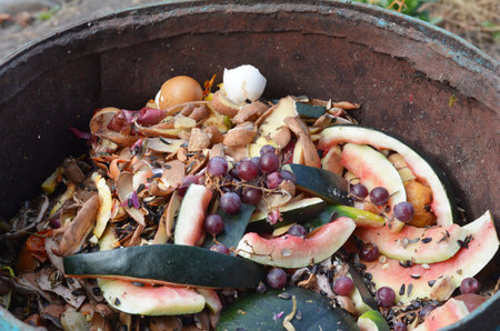 Composting food scraps in metal compost binの写真素材